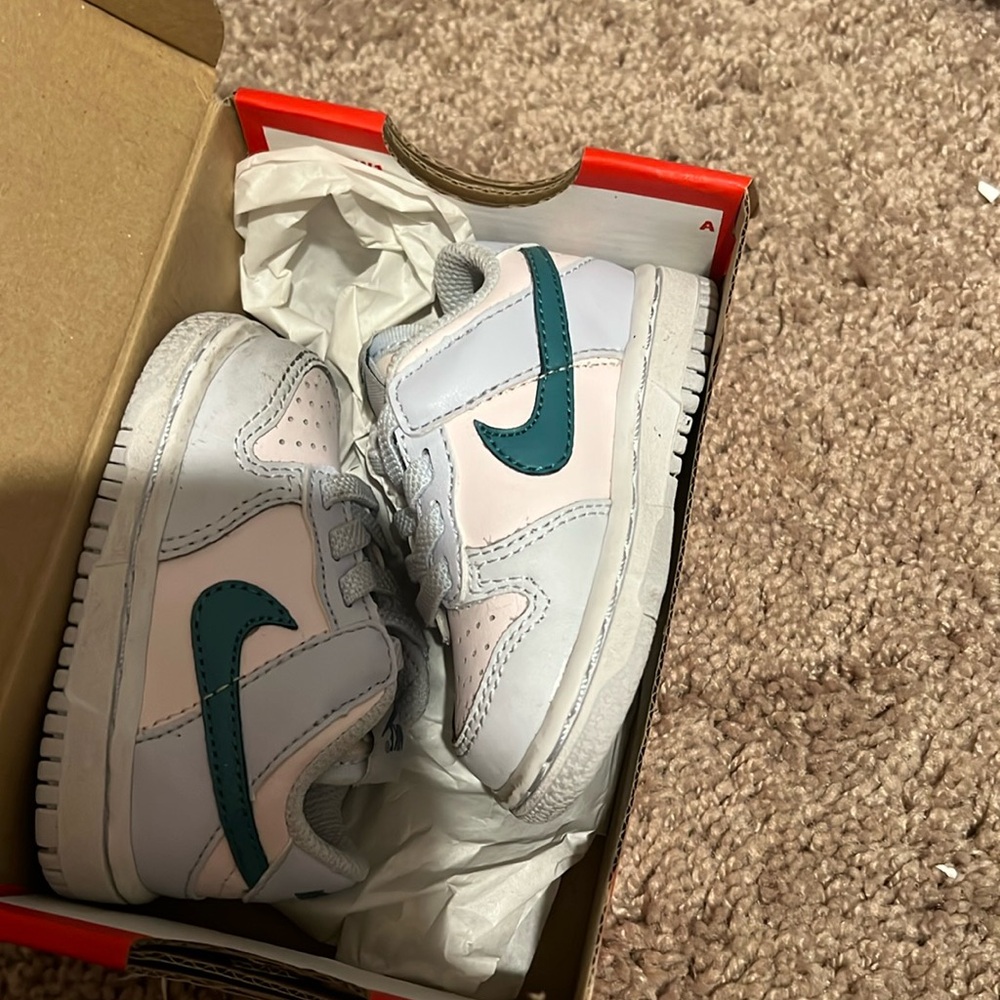 Dunk sneaker kid